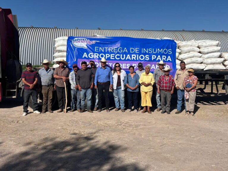 ENTREGA DE FERTILIZANTE CON 60% DE SUBSIDIO
