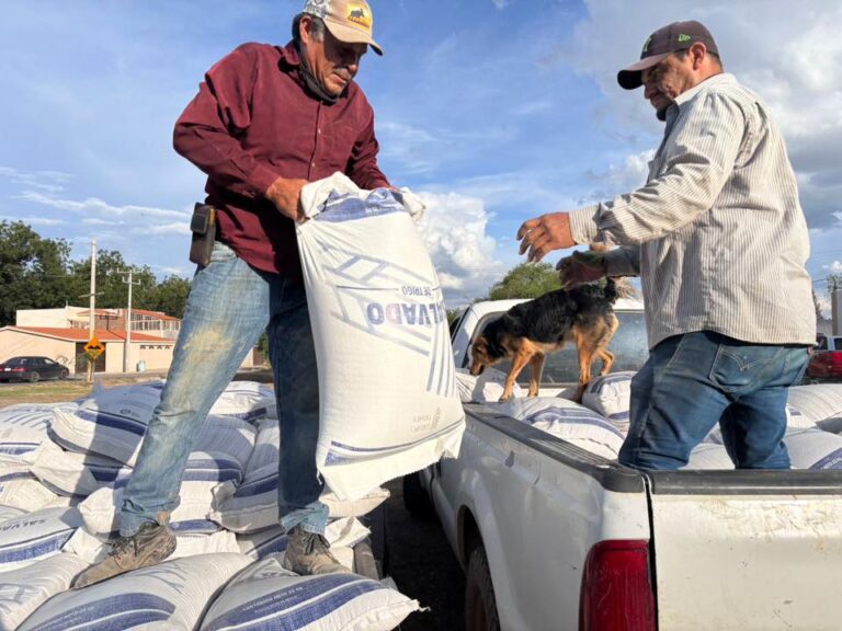 Entrega de semillas subsidiadas